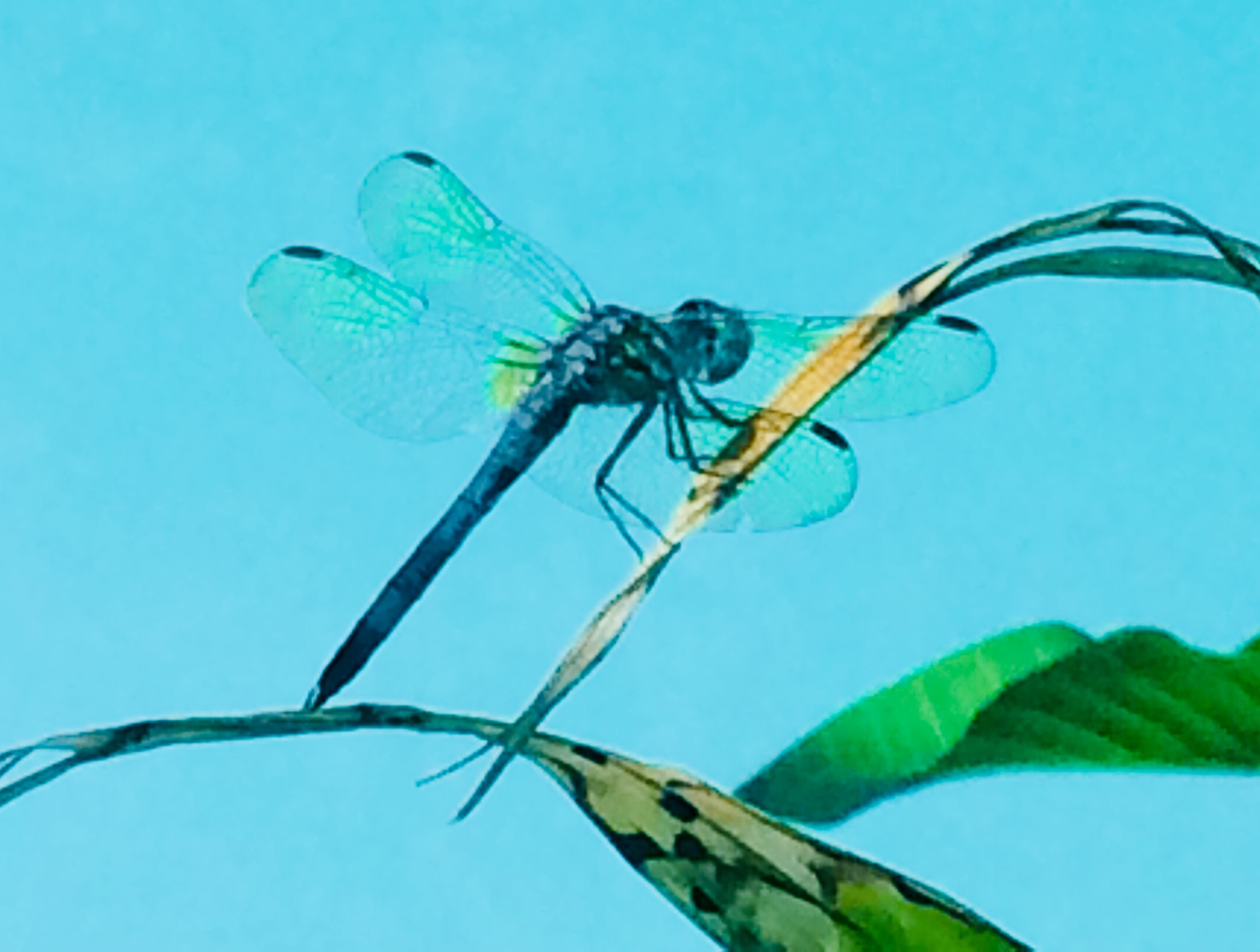 D03662DC-3176-4B92-847C-A8D3A7582E2F