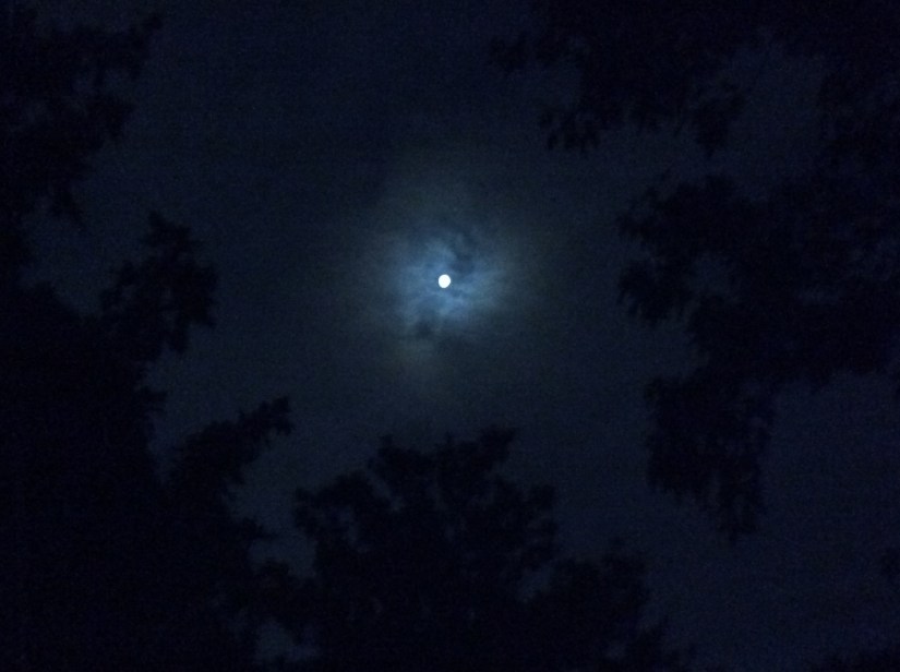 8B1AD6D8-DA2A-4BC1-B456-D12B3E55C0ED