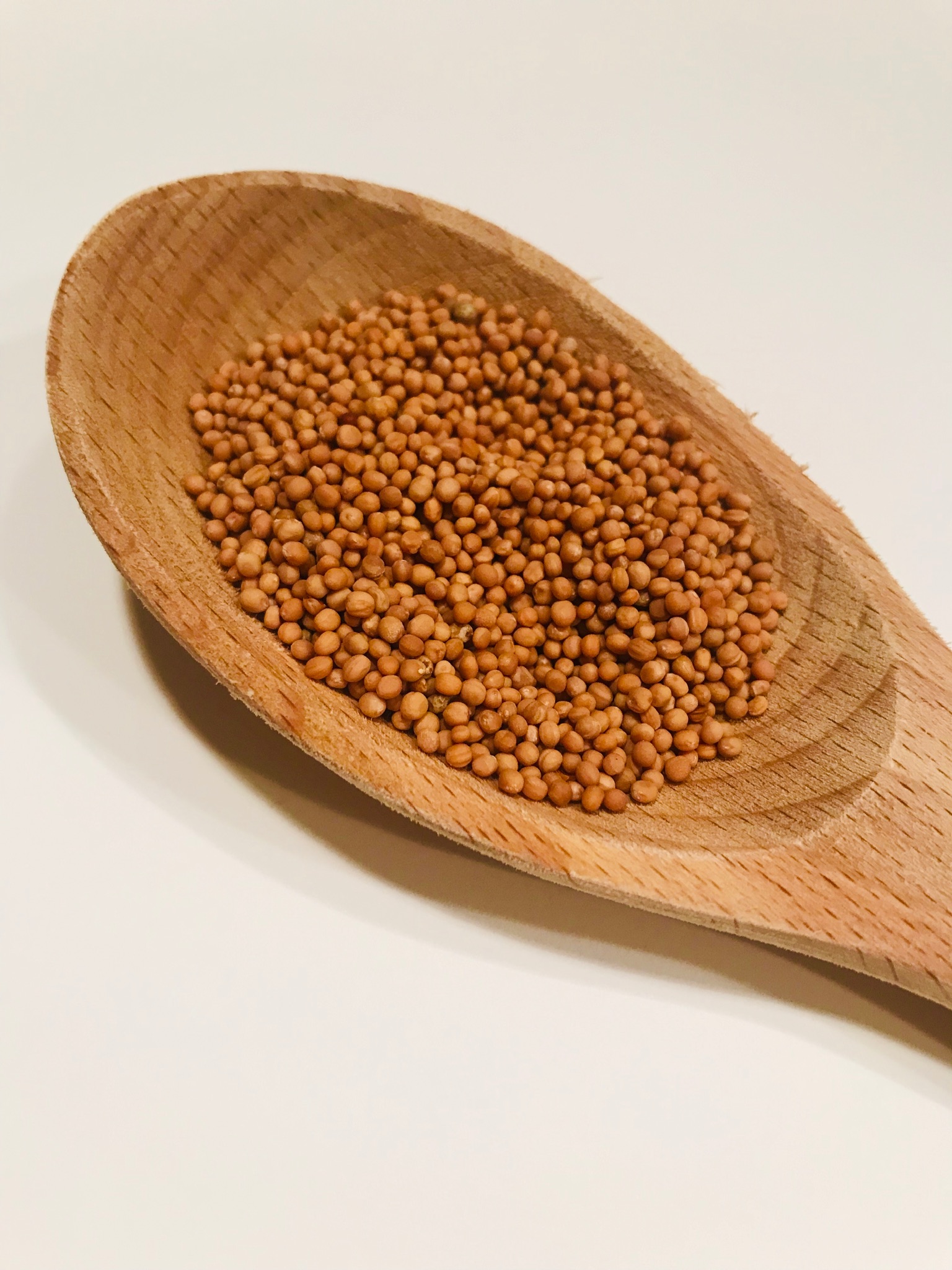 7FCB9217-1D37-4307-9388-062702860955