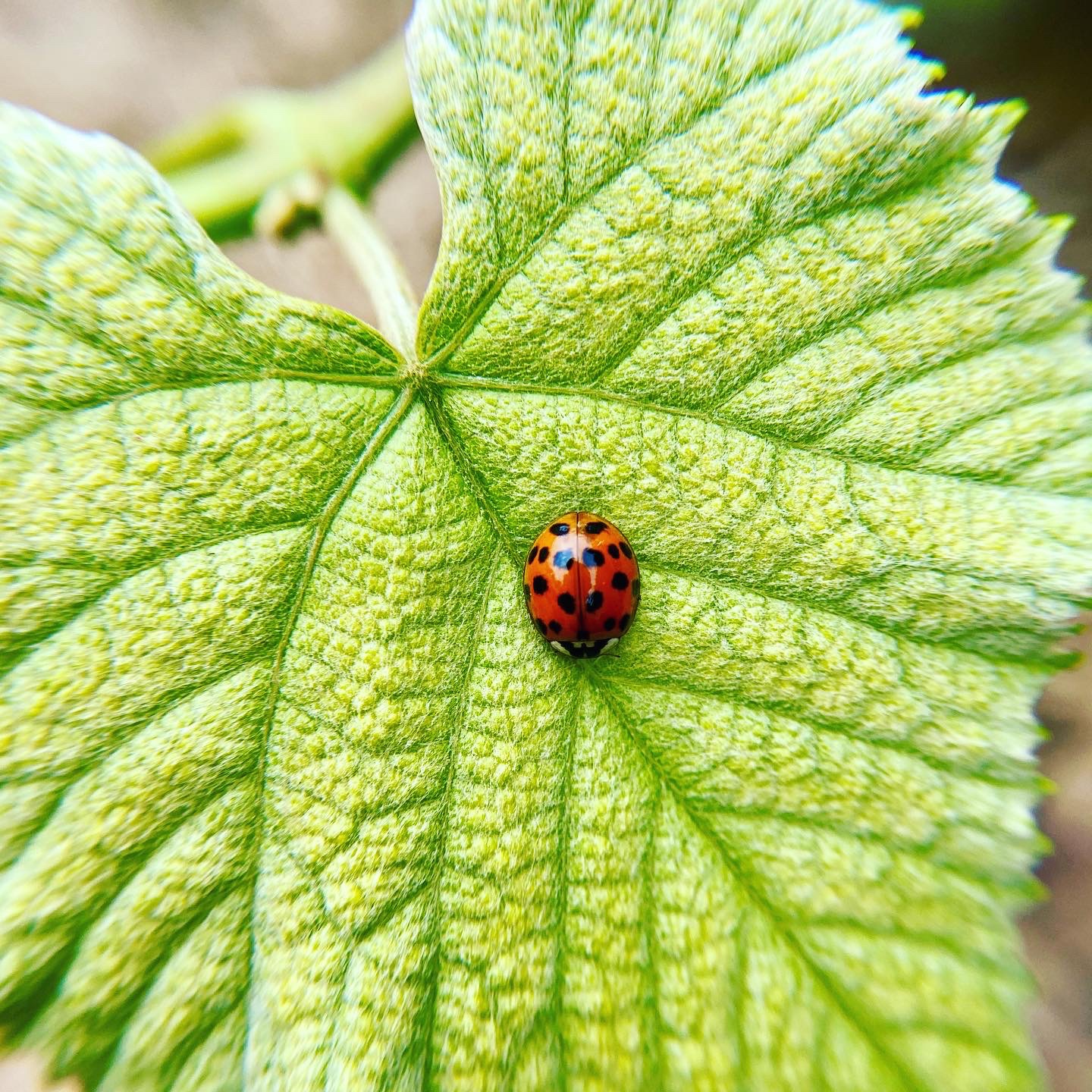 be71bd45-4030-46e8-9bd0-5f1f5c6259b7